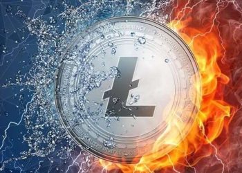 Litecoin’s Metrics: A Glimpse into LTC’s Technical Landscape