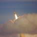 A Chat With Dave Weisberger: Why Bitcoin Entered A “Perfect Storm”