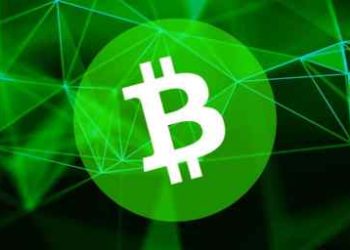 Bitcoin Cash Rally Threatened As Exchange Drops BCH Following XRP Listing Rumors