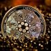 Cardano (ADA) 50-Week EMA Flashes Bullish, Is $0.45 On The Way?