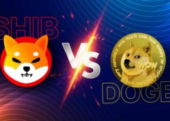 Dogecoin Vs. Shiba Inu: Which Meme Coin Is More Profitable For Holders?