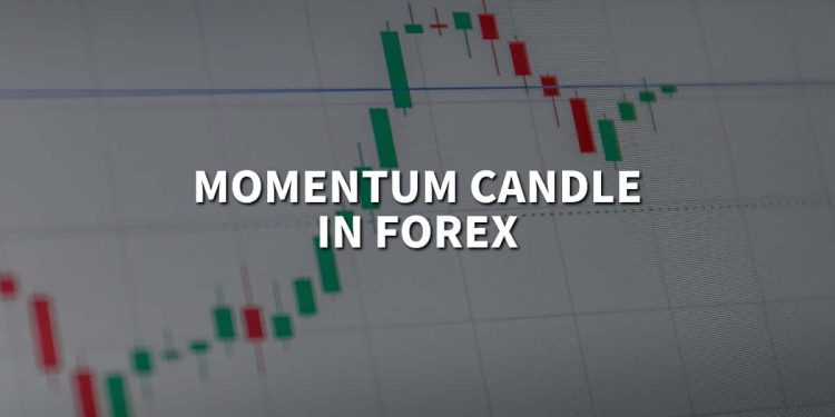 What is a momentum candle in Forex?
