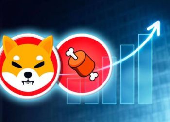 Shiba Inu-Based BONE Eyes $1 As This On-Chain Metric Explodes