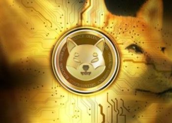 Shiba Inu volume Gains momentum