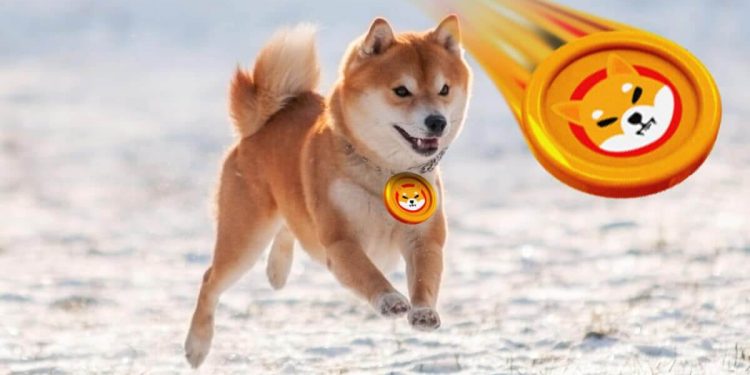 Dogecoin and Shiba Inu: Dogecoin slips below 0.07500