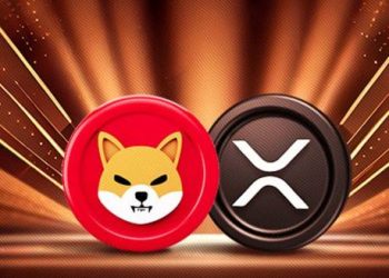 XRP And Shiba Inu Rally Is Not Over According To This Indicator