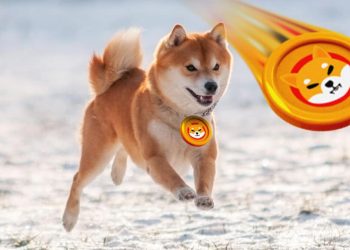 Dogecoin stabilizes above 0.07500 and Shiba above 0.00000800