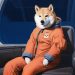 Shiba Inu Price Eyes Key Resistance, Poised For November Surge