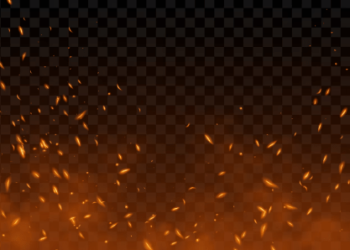 Cardano Phoenix Moment: Price Breakout In The Face Of Recent Setbacks