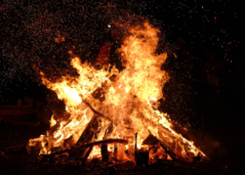 Shiba Inu Burn Rate Soars Over 3,000% – What’s The Impact On Price?