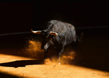 Polygon (MATIC) Poised For A Bullish Surge, Analyst Who Predicted 2021 Fall Says