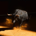 Polygon (MATIC) Poised For A Bullish Surge, Analyst Who Predicted 2021 Fall Says