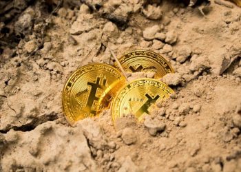 Bitcoin and Ethereum: Bitcoin climbs to the $36864 level