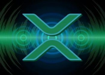 XRP Will Diverge Away From Price Speculation: Crypto Pundit