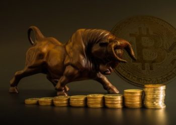 Bitcoin Bull Run Is Only Just Starting, According To This Metric