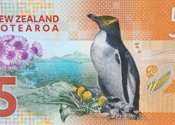 New Zealand’s Native Revamp: The Radical Changes Ahead!