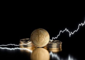 Bitcoin Cycle Analysis And Macro Factors Reveal When Price Will Reach $125,000