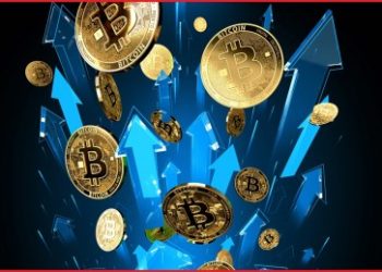 Mystery Bitcoin Whale Who Bought 10,000 BTC Has Been Exposed