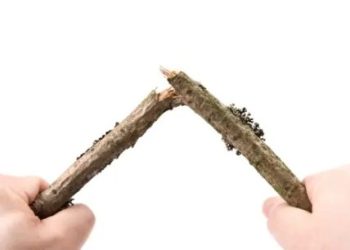 Crypto Funds’ 11-Week Inflow Streak Snapped: Bitcoin Faces $33M Exodus As Altcoins Shine