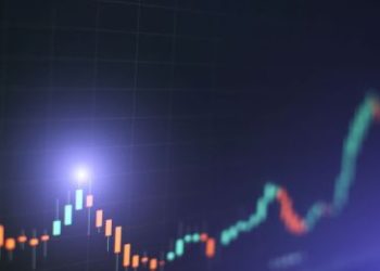 Is Chainlink and Polygon About to Rip Higher? Whales Accumulating