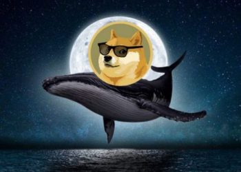 Dogecoin Whale Moves 71 Million DOGE To Robinhood, What Does This Mean For Price?