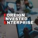 What is Foreign Invested Enterprise (FIE) ?