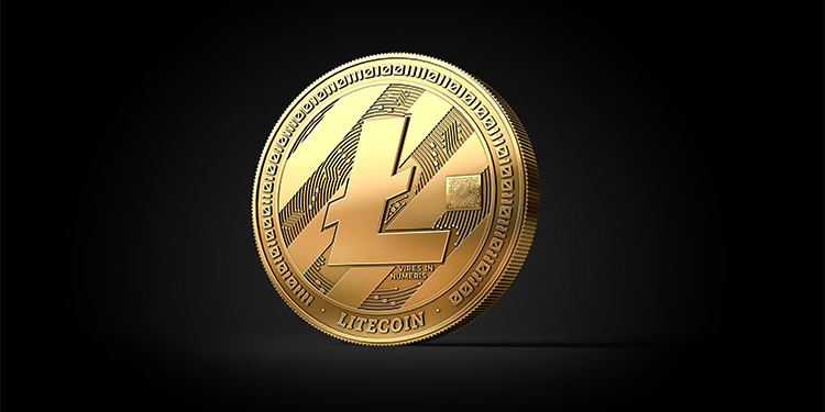SafeMoon rises to new high, Litecoin remains below 75.00