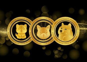 Solana-Based Meme Coin Outperforms Dogecoin, Shiba Inu To Become 3rd-Largest