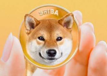 Shiba Inu Open Interest Falls Behind General Crypto Market, What This Means For Price