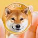 Shiba Inu Open Interest Falls Behind General Crypto Market, What This Means For Price