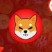 Shiba Inu Eyes $0.00002 As Shibarium Marks Momentous Milestone