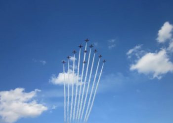 XRP And XLM In Lockstep? Expert Sheds Light On Their Surprising Price Synchronization