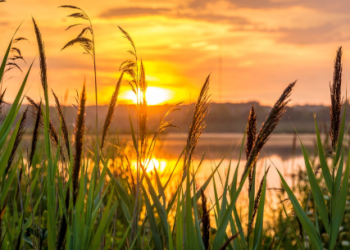 Solana Threatens To Unseat Ethereum In Trade Volume With $1 Billion In Single Day