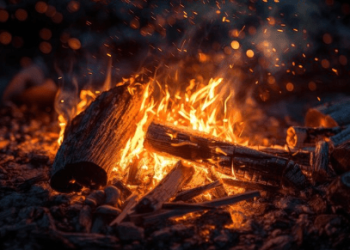 Shiba Inu Burn Rate Spikes Over 2,700% Despite Market Slowdown