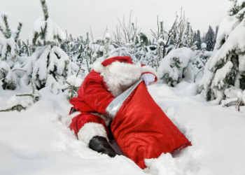 Cardano (ADA) 50% Rally Sets Stage For A Merry Christmas – Details