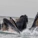 Bitcoin Whales Driving The Rally Are Now Taking Profits, Data Suggests