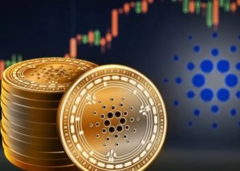 Is Cardano The Next Solana? Institutional Investors Clamor For ADA Exposure