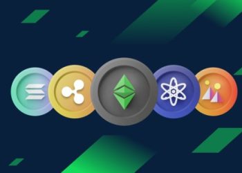 Crypto Expert Shares Ultimate Crypto Portfolio Guide To Make It In 2024