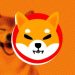 Crypto Analyst Predicts 100% Surge For Shiba Inu, But There’s A Roadblock