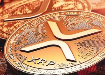 Ripple CTO Breaks Down XRP Distribution And Who Controlled 99% Of Supply At Genesis