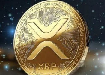 XRP Whales Make Big Moves Amid Market Volatility