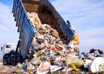 XRP Crash Fears Mount As Whale Dumps 26 Million Tokens – Details