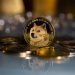 Can February Be Dogecoin Month? Bullish Indicators Point To Potential Price Explosion