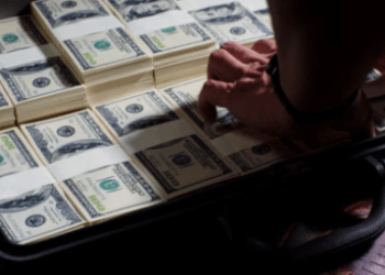 Shibarium Shatters Records: 2 Million Transactions In A Day – Details