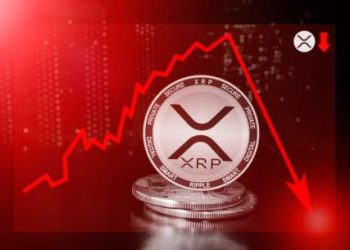 XRP Price Turns Red As Risk of More Downsides Escalate