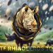 White Rhinoceros (WHRH): Memetic Token’s Meteoric Rise