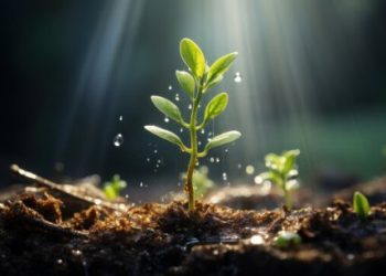 Cardano (ADA): Green Shoots Emerge – Is A 30% Price Growth Next?