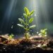 Cardano (ADA): Green Shoots Emerge – Is A 30% Price Growth Next?
