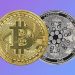 Crypto Analyst Predicts Bitcoin To $100,000 But Says Cardano Is Dead, Here’s Why