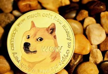 Dogecoin Rallies 50% To Beat Out Avalanche, BONK Overtakes PEPE